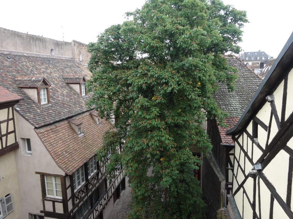 A L'Ill - Apparts & Studios Strasbourg Hyper Centre エクステリア 写真